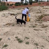 photo de livraison pour L'Arche de Noé