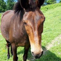 photo de livraison pour ADADA