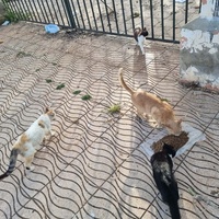 photo de livraison pour Kawthar Maree