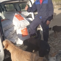 photo de livraison pour Sanctuaire de la Faune de Tanger (SFT)