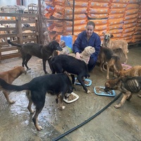 photo de livraison pour ADAN TETOUAN