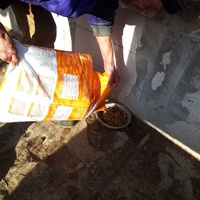 photo de livraison pour Depend on Us - Asociatia Depind de Noi