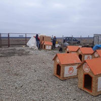 photo de livraison pour Animal Shields Oradea