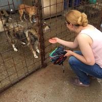 photo de livraison pour Save & Hope for Dogs
