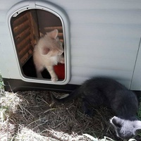 photo de livraison pour Amis de Myrtille