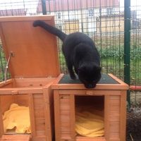 photo de livraison pour Les Petits Pachats