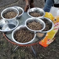 photo de livraison pour Serbian Society for the Protection of Animals - SSPA