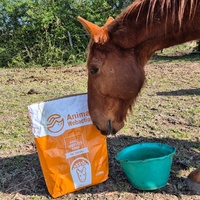 photo de livraison pour Arche et Relais