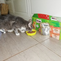 photo de livraison pour Arche de Véra