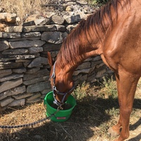 photo de livraison pour Association hippique du Caroux