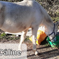 photo de livraison pour Association hippique du Caroux