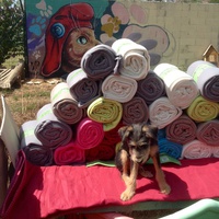 photo de livraison pour SOS Animal Tendresse
