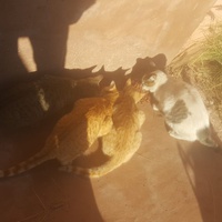 photo de livraison pour Ghita Muller El Jirari