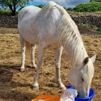 photo de livraison pour La Retraite des Chevaux des Causses