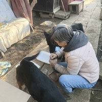 photo de livraison pour Chats Libres de Béziers
