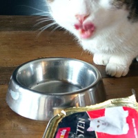photo de livraison pour Ecole du Chat Libre de Caillerot