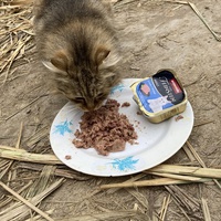 photo de livraison pour Ecole du Chat des Alpilles