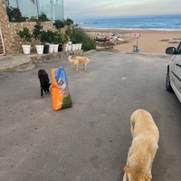 photo de livraison pour Sanctuaire de la Faune de Tanger (SFT)