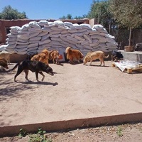 photo de livraison pour Help Adopt Moroccan Animals
