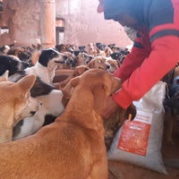 photo de livraison pour Le Coeur sur la Patte