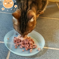 photo de livraison pour Une Maison pour la Vie