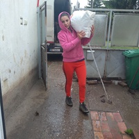 photo de livraison pour Lina's animal rescue