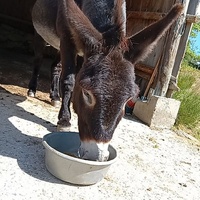 photo de livraison pour ADADA