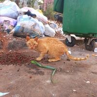 photo de livraison pour Kawthar Maree