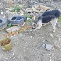 photo de livraison pour Civic Initiative Kane Korzo Skopje