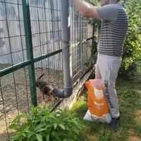 photo de livraison pour Innocente