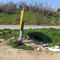 photo de livraison pour Civic Initiative Kane Korzo Skopje
