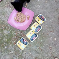 photo de livraison pour Les chats libres de Caro
