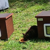 photo de livraison pour SOS Chats Libres Haut-Béarn