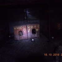 photo de livraison pour Pro Animals Finland ry