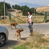 photo de livraison pour Civic Initiative Kane Korzo Skopje