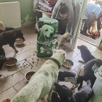 photo de livraison pour ПРИХВАТИЛИШТЕ ДРАЖЕВАЦ