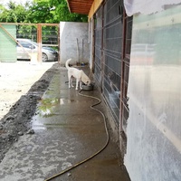 photo de livraison pour Sammelstelle für Tiere in Not e.V.