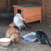 photo de livraison pour Association Nos Amis Nos Animaux