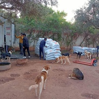 photo de livraison pour Help Adopt Moroccan Animals