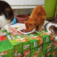 photo de livraison pour CAPPA