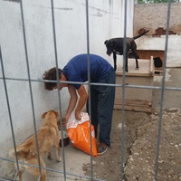 photo de livraison pour Innocente