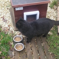 photo de livraison pour Aidons nos Molosses