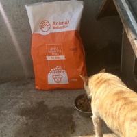 photo de livraison pour Speranta Pentru Animale