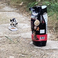 photo de livraison pour Ecole du Chat des Alpilles