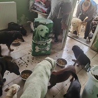 photo de livraison pour ПРИХВАТИЛИШТЕ ДРАЖЕВАЦ