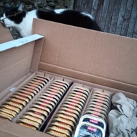 photo de livraison pour Catmondou