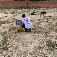 photo de livraison pour L'Arche de Noé