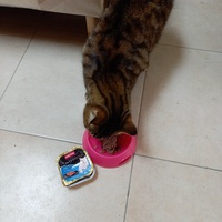 photo de livraison pour Les Amis de Michouette