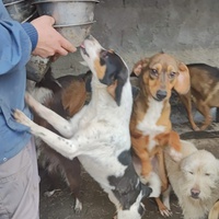 photo de livraison pour Svetlana Bjelogrlic
