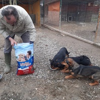 photo de livraison pour Azil za pse"Poslednja oaza"